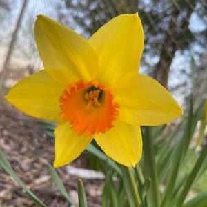 Meet your Posher, Deb